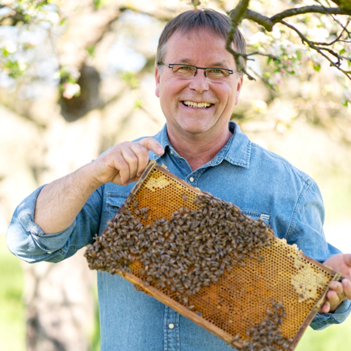 Echter Deutscher Honig "Sommertracht" 500g Glas - Wanderimkerei Martin Sester