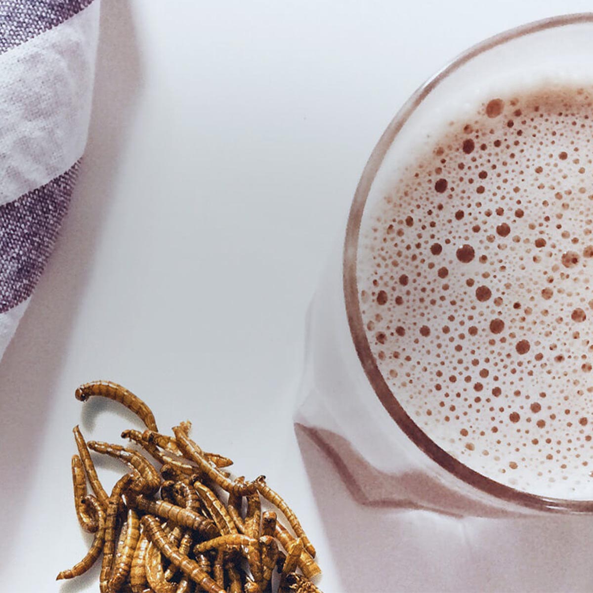 Microdelices Chocolat Noir Schokoladentafel mit Mehlwürmern 70 Gramm aus Frankreich