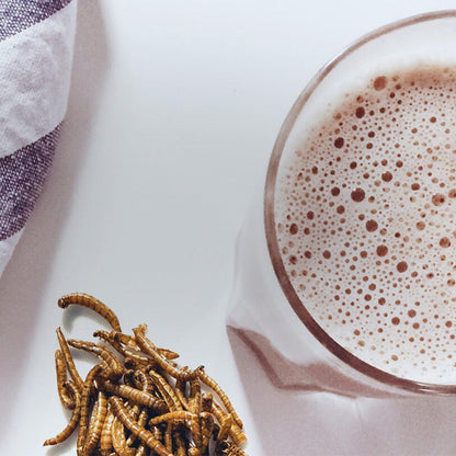 Microdelices Chocolat Noir Schokoladentafel mit Mehlwürmern 70 Gramm aus Frankreich