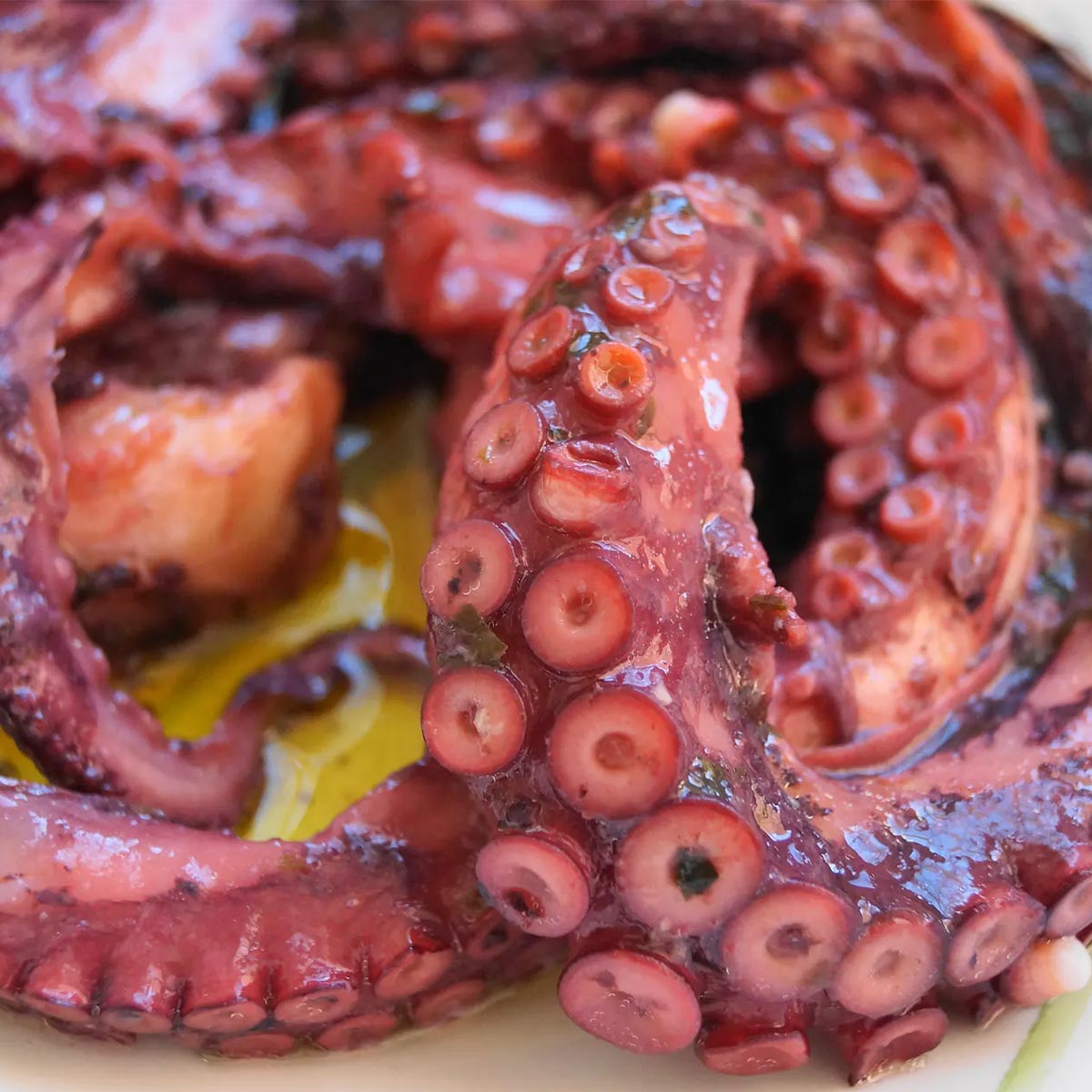 Exquisiter Genuss: Conservas La Receta Oktopus mit Knoblauch in spanischem Olivenöl!