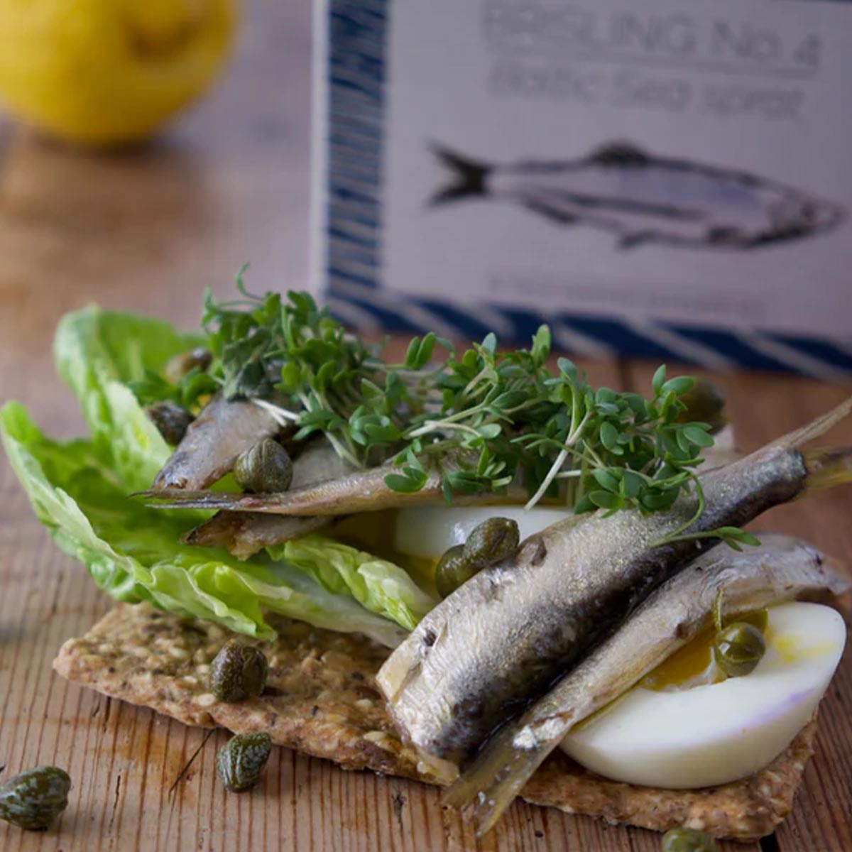 Entdecke: FANGST Brisling No. 4 - Nordische Sardine in dänischem Rapsöl!