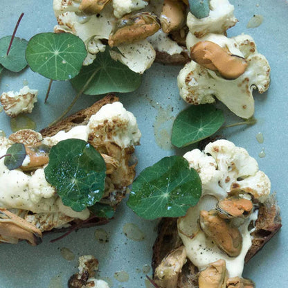 FANGST Blåmusling NO. 2 geräucherte Limfjord Miesmuscheln in kaltgepresstem Rapsöl, aus Dänemark