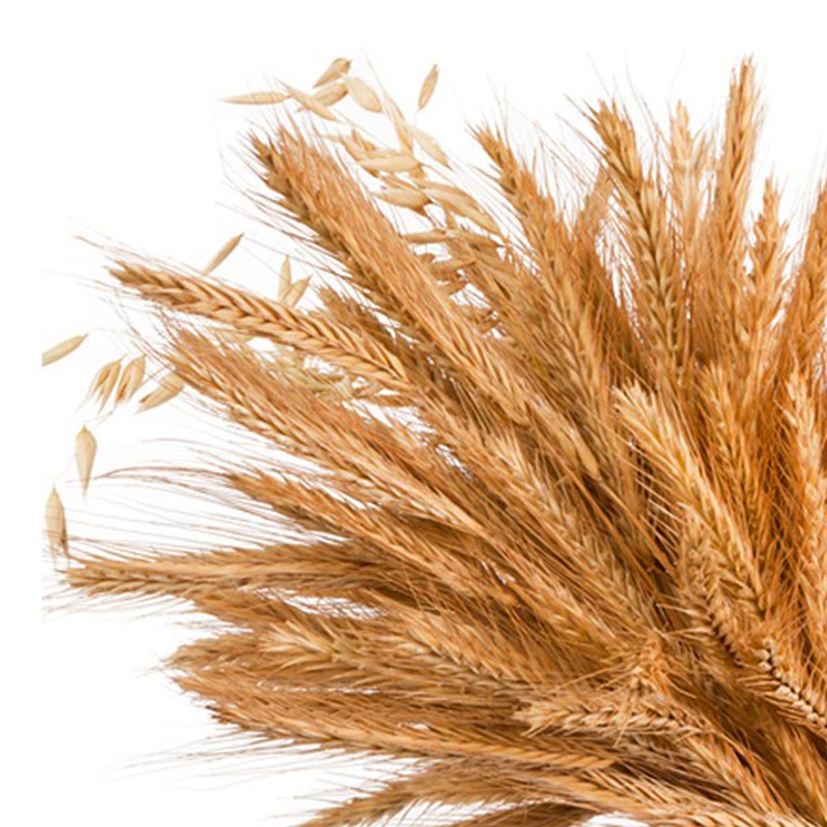 Genieße den Geschmack von Meyer's Whisky Pure Malt - 0,7 l aus dem Elsass